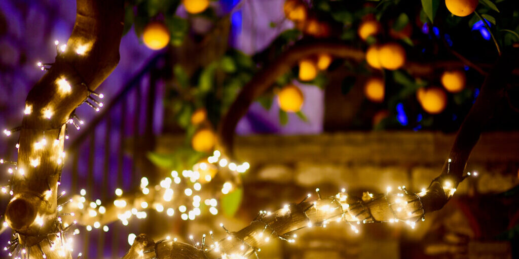 Christmas Lighting in the orange garden of Sicily